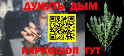 spice Камышлов