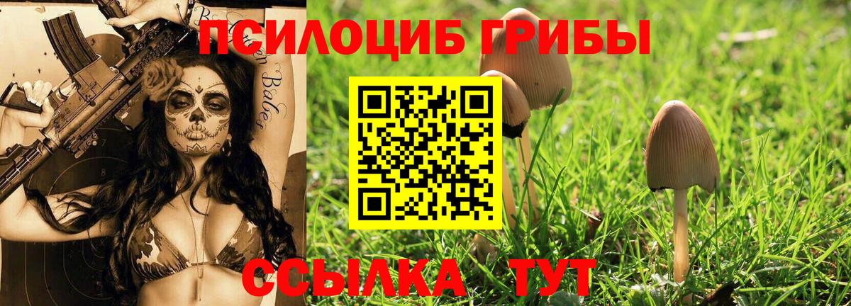 Галлюциногенные грибы Cubensis  Псилоцибиновые грибы Magic Shrooms  Кубинка  Вход с VPN 